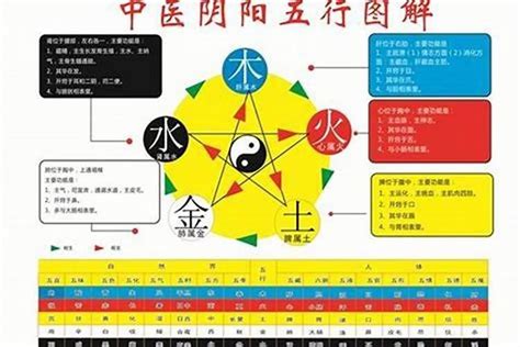 桐五行|桐字的五行属性